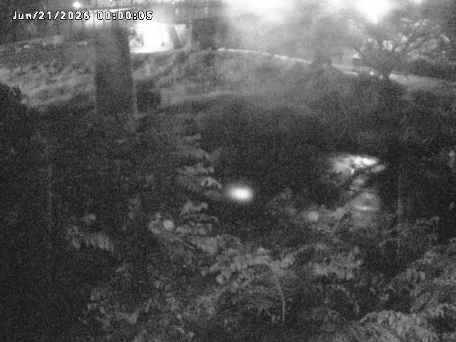日野川１０2026/06/21 9:40:00