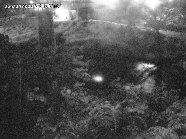 日野川１０2026/06/21 9:40:00
