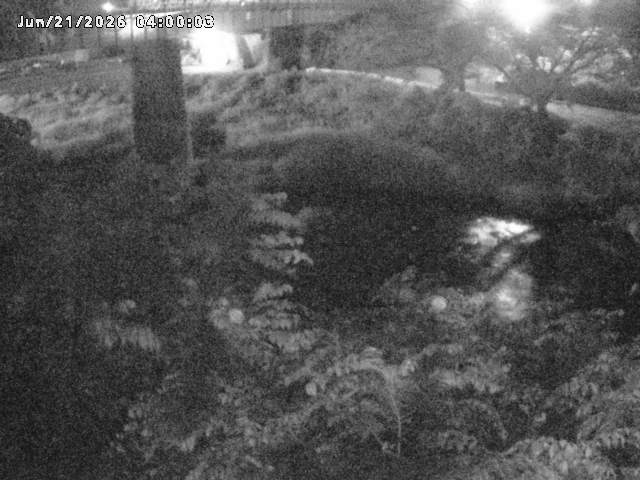 日野川１０2026/06/21 9:40:00