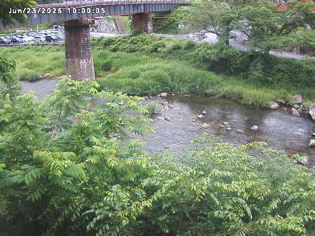 日野川１０2026/06/24 9:50:00