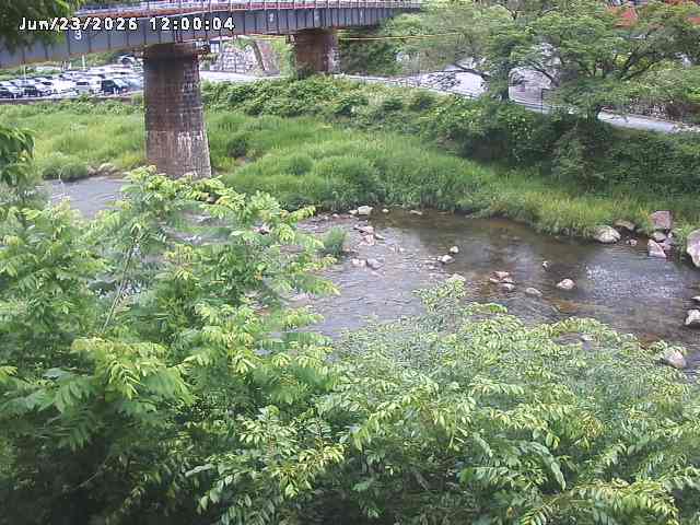 日野川１０2026/06/24 9:50:00
