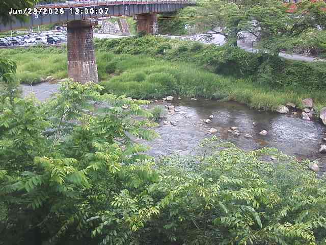 日野川１０2026/06/24 9:50:00