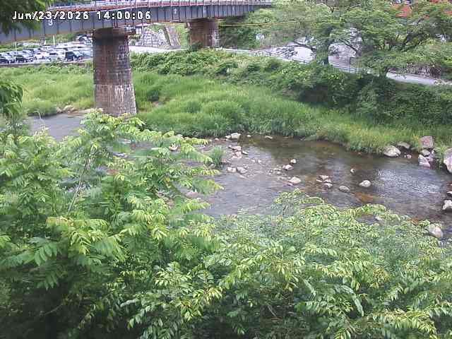 日野川１０2026/06/24 9:50:00