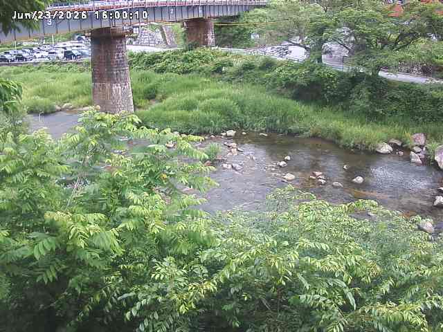 日野川１０2026/06/24 9:50:00