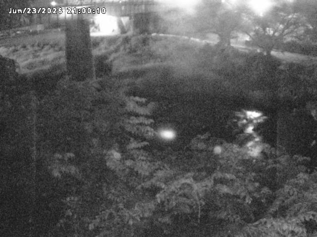 日野川１０2026/06/24 9:50:00