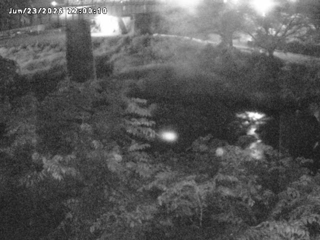 日野川１０2026/06/24 9:50:00