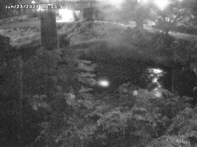 日野川１０2026/06/24 9:50:00