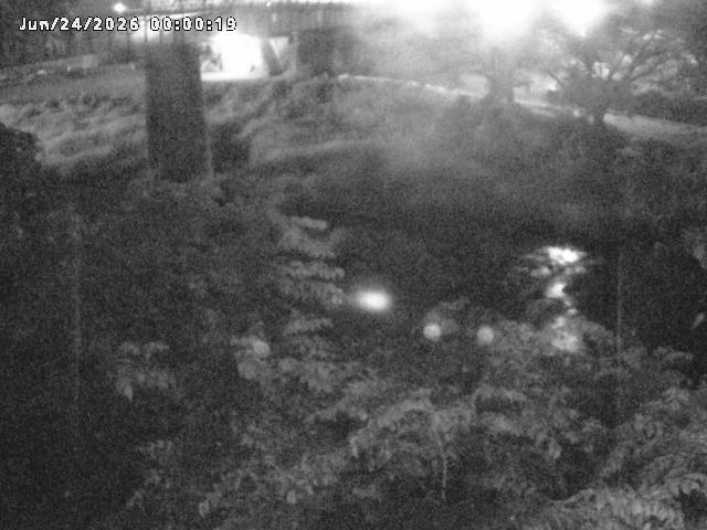 日野川１０2026/06/24 9:50:00