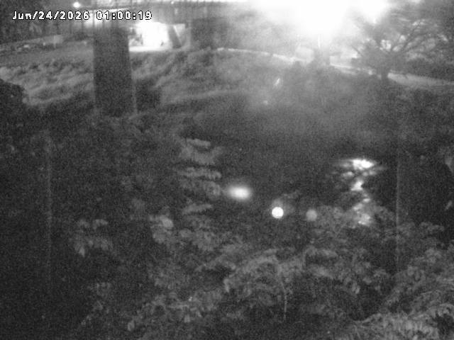 日野川１０2026/06/24 9:50:00