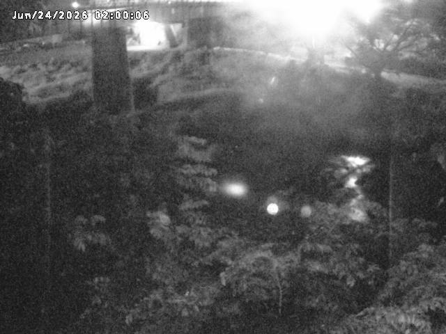 日野川１０2026/06/24 9:50:00