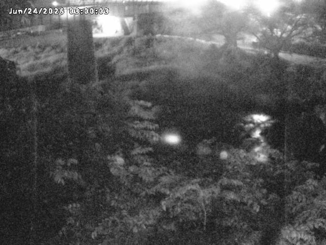 日野川１０2026/06/24 9:50:00