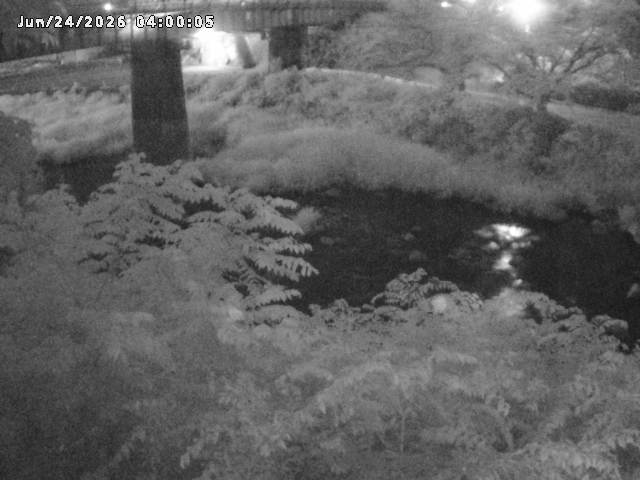日野川１０2026/06/24 9:50:00