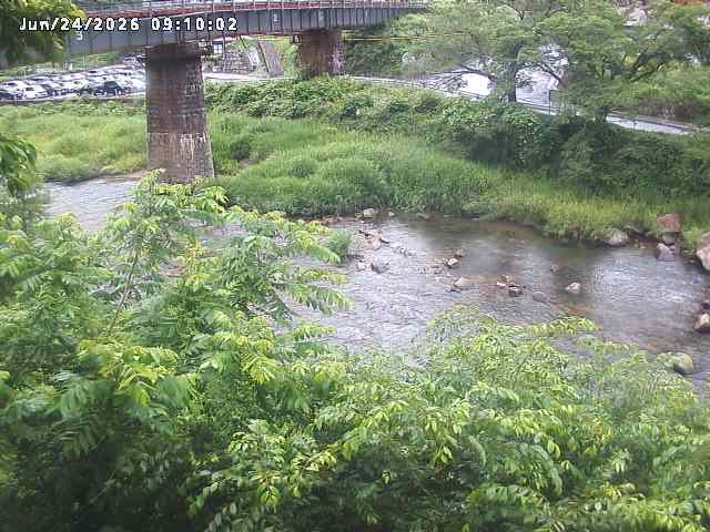 日野川１０2026/06/24 9:50:00