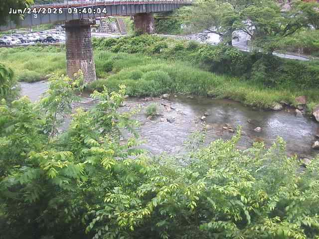 日野川１０2026/06/24 9:50:00