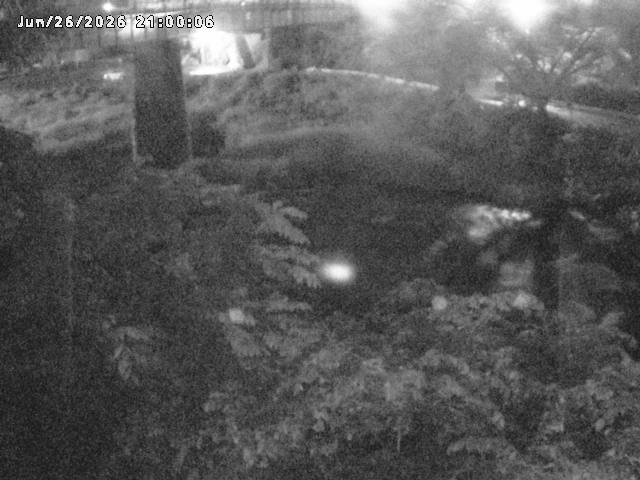 日野川１０2026/06/27 11:30:00