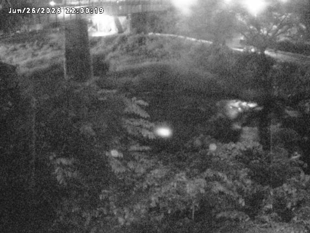 日野川１０2026/06/27 11:30:00