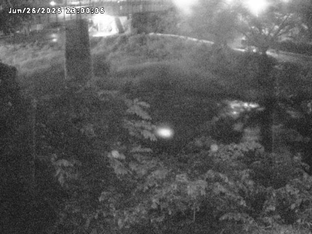 日野川１０2026/06/27 11:30:00
