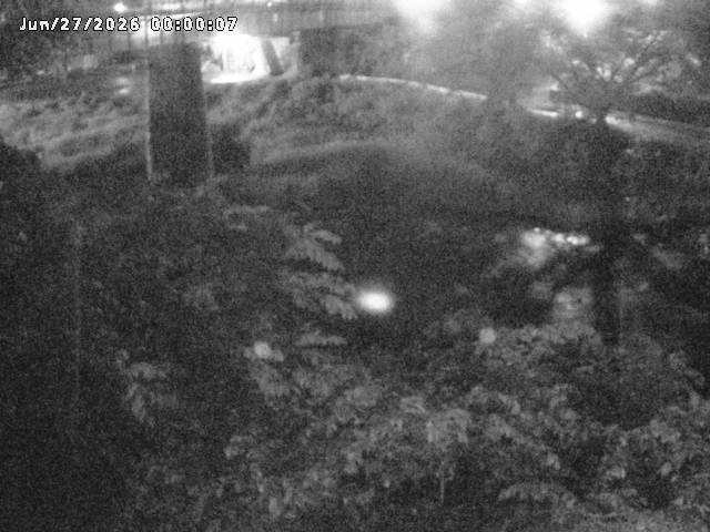 日野川１０2026/06/27 11:30:00