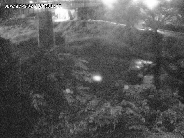 日野川１０2026/06/27 11:30:00