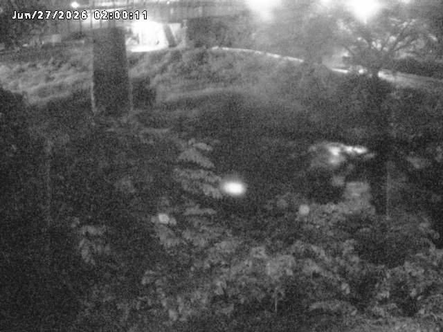 日野川１０2026/06/27 11:30:00
