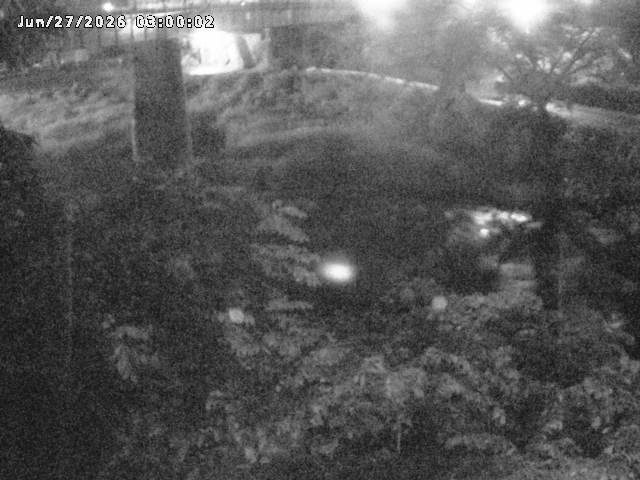 日野川１０2026/06/27 11:30:00