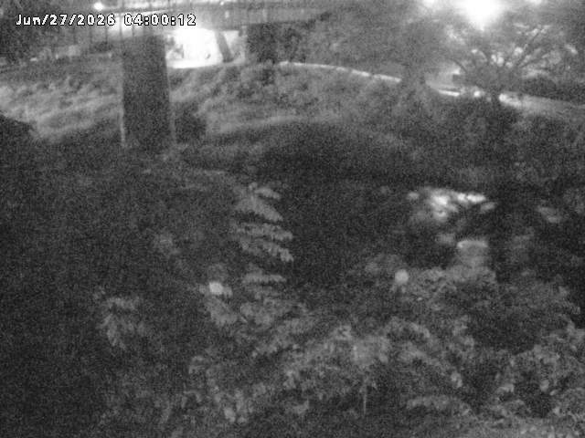 日野川１０2026/06/27 11:30:00