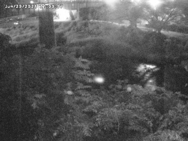 日野川１０2026/06/30 11:50:00