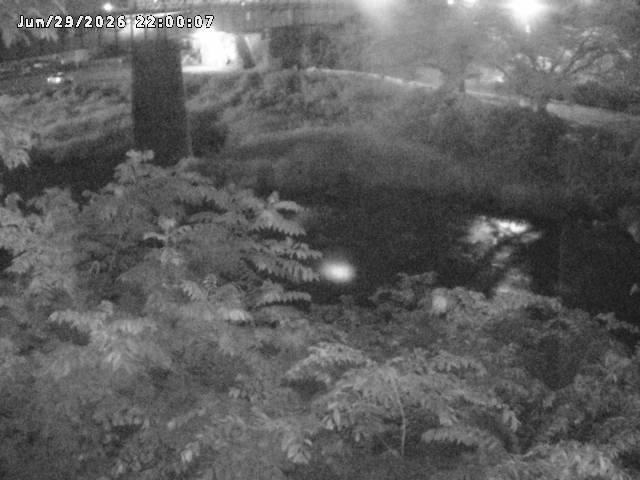 日野川１０2026/06/30 11:50:00