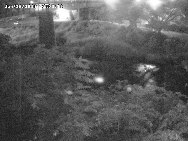 日野川１０2026/06/30 11:50:00
