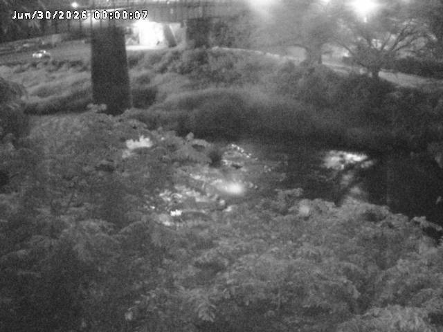 日野川１０2026/06/30 11:50:00