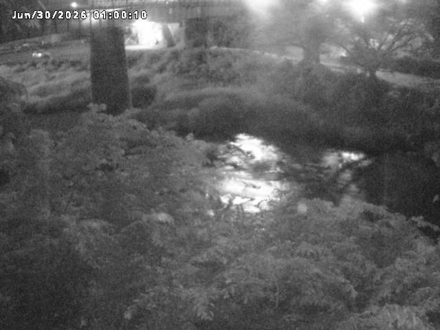 日野川１０2026/06/30 11:50:00
