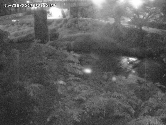 日野川１０2026/06/30 11:50:00