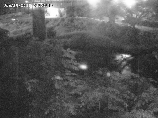 日野川１０2026/06/30 11:50:00