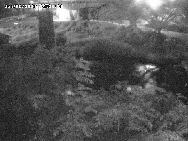 日野川１０2026/06/30 11:50:00