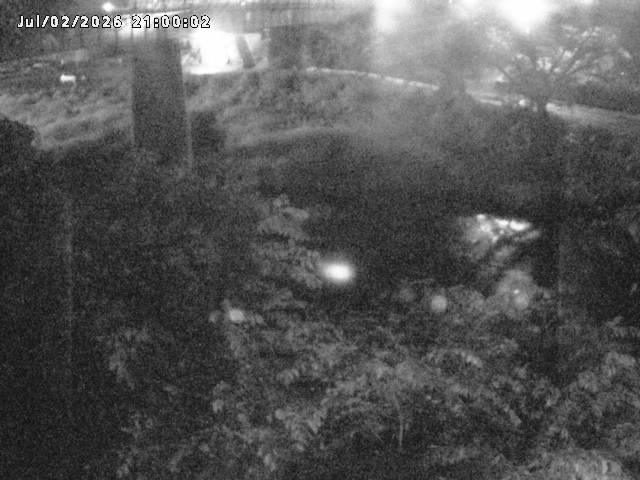 日野川１０2026/07/03 12:00:00