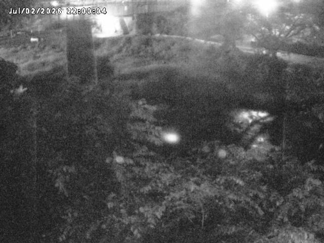 日野川１０2026/07/03 12:00:00