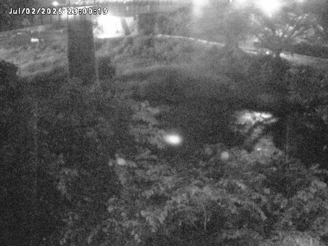 日野川１０2026/07/03 12:00:00