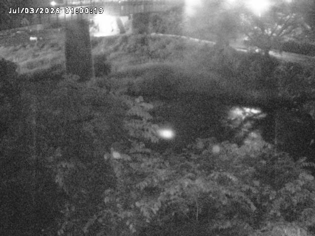 日野川１０2026/07/03 12:00:00