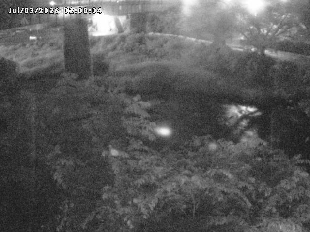日野川１０2026/07/03 12:00:00