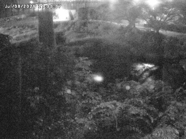 日野川１０2026/07/09 13:00:00