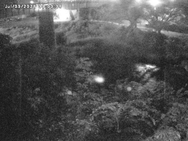 日野川１０2026/07/09 13:00:00