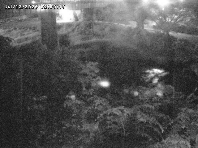 日野川１０2026/07/12 13:10:00