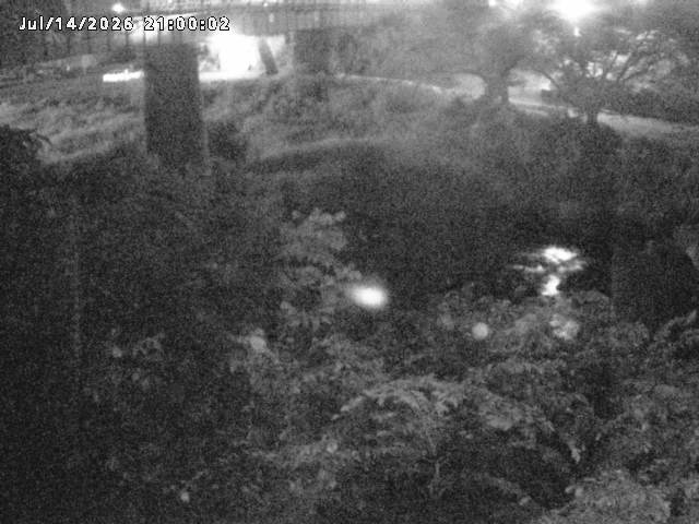 日野川１０2026/07/15 13:20:00