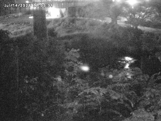 日野川１０2026/07/15 13:20:00