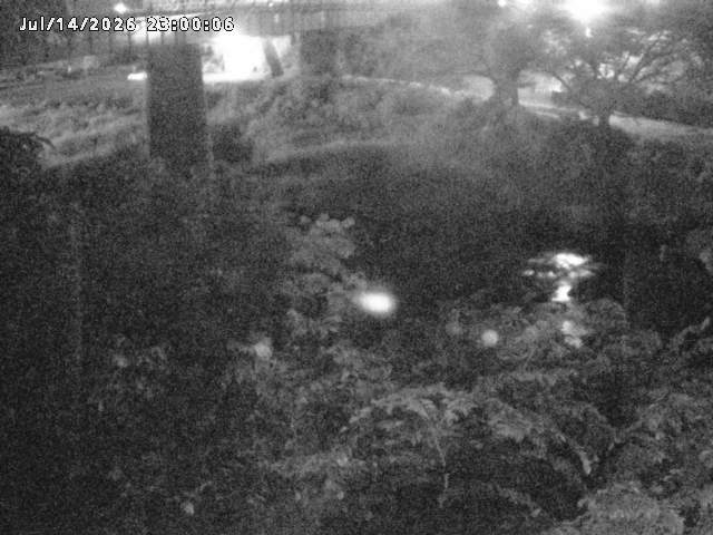 日野川１０2026/07/15 13:20:00