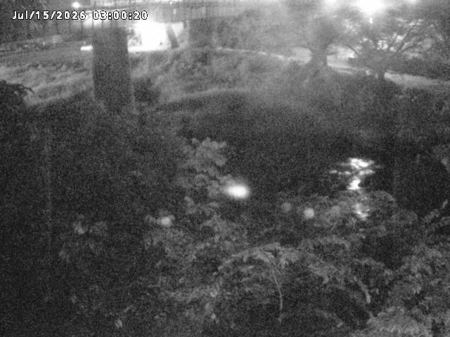 日野川１０2026/07/15 13:20:00