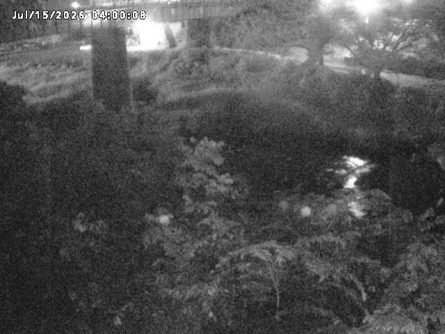 日野川１０2026/07/15 13:20:00