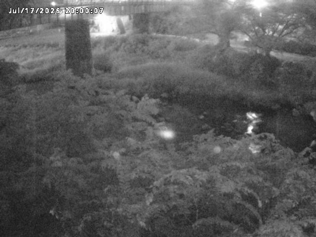 日野川１０2026/07/18 14:10:00