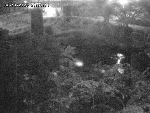 日野川１０2026/07/18 14:10:00