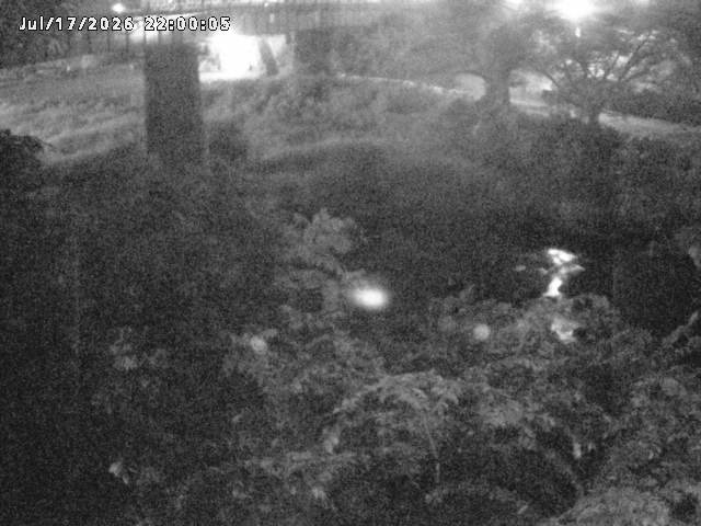 日野川１０2026/07/18 14:10:00